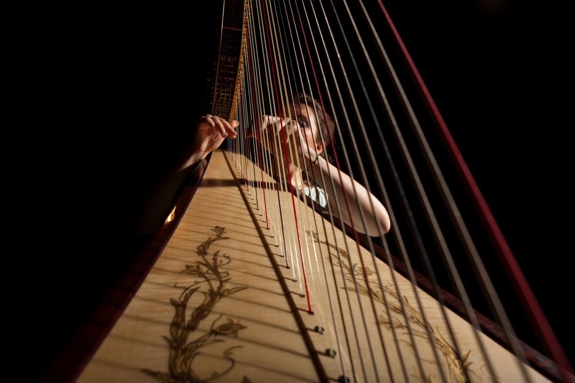 Harp player