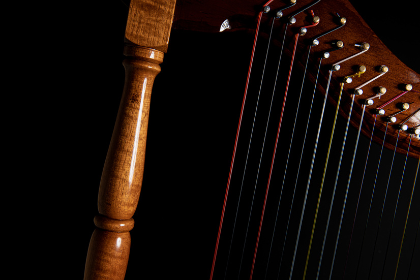 Strings of a Harp