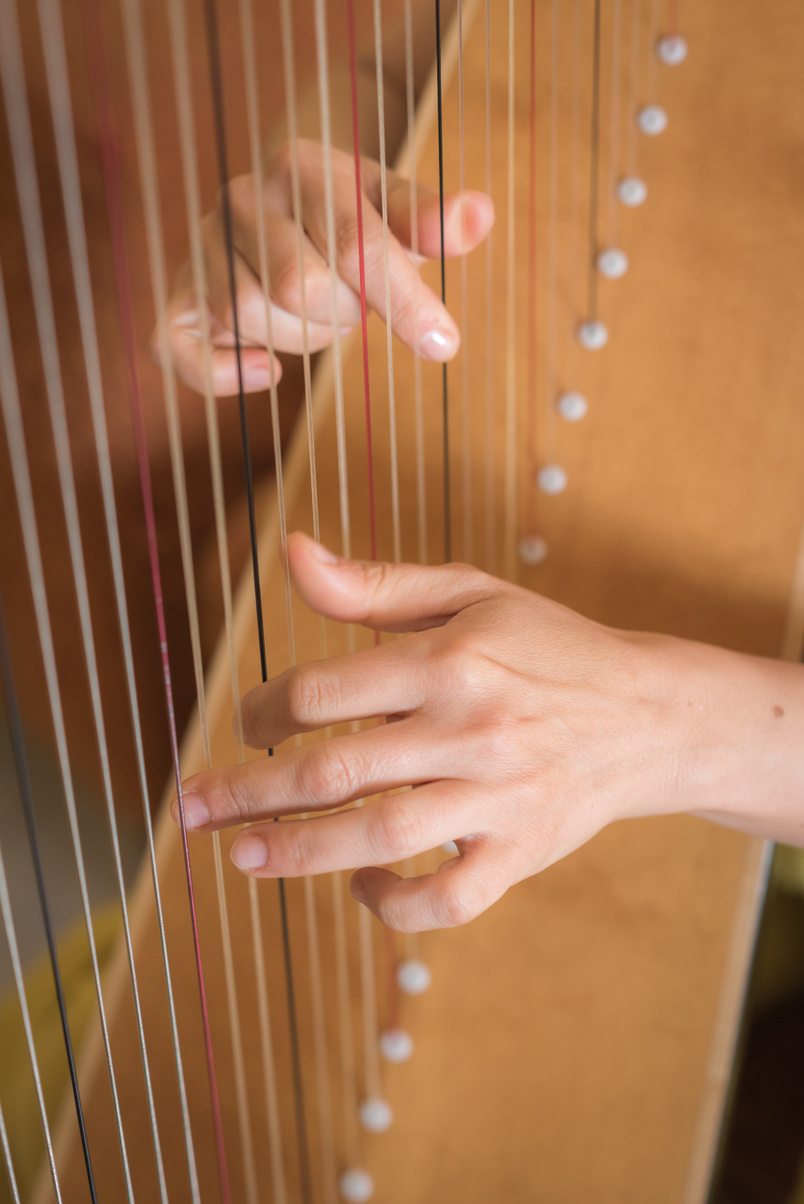 playing the harp