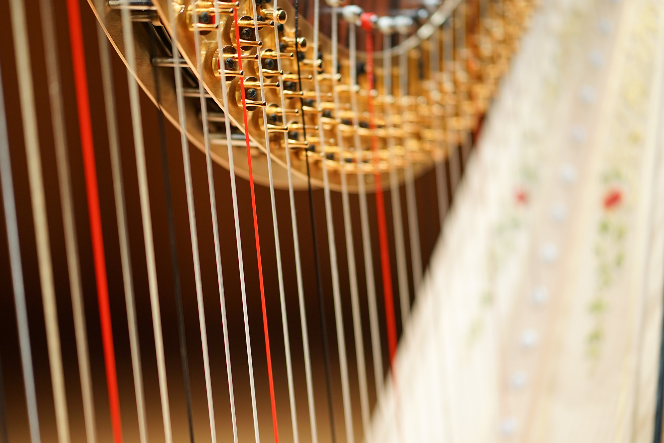 Harp