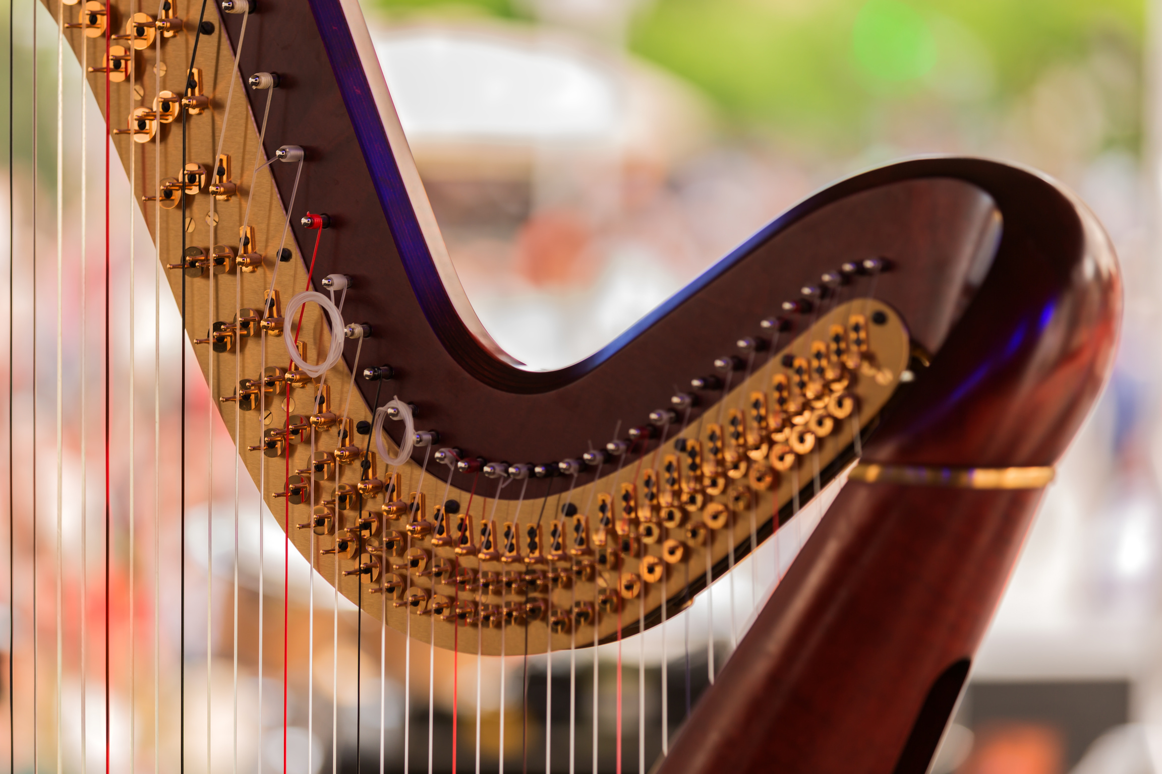 Harp details