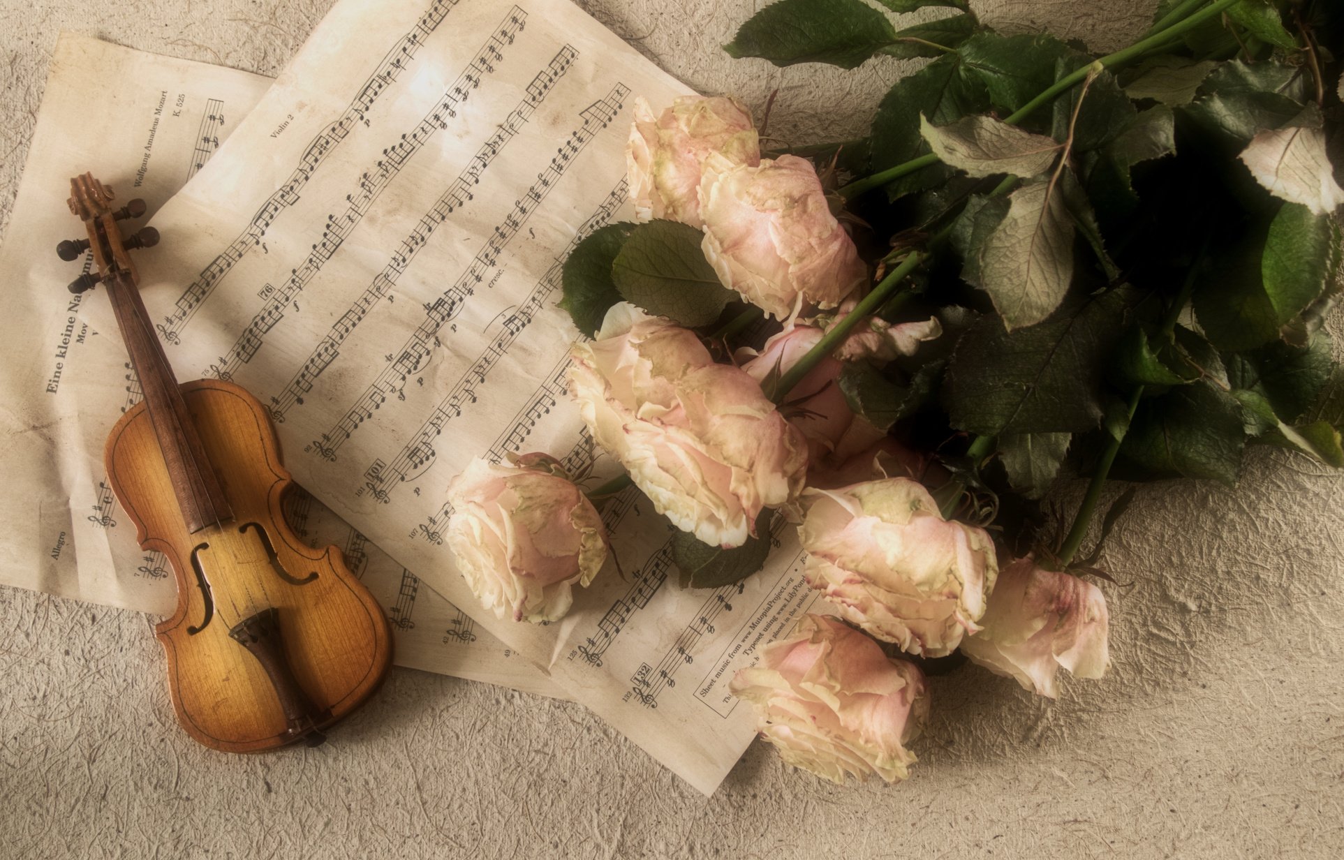 Violin and Rose Flowers on a Music Sheet