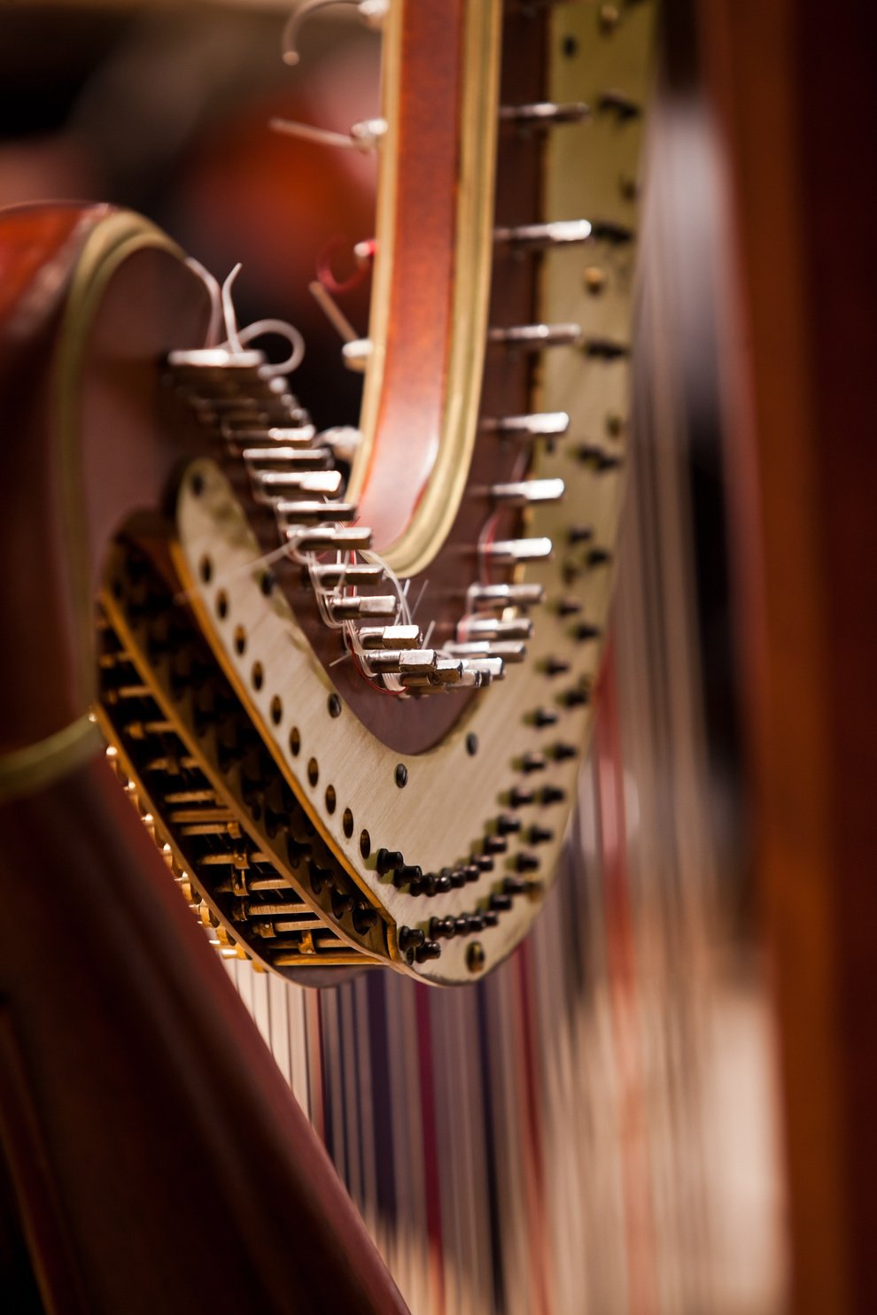 Detail of harp